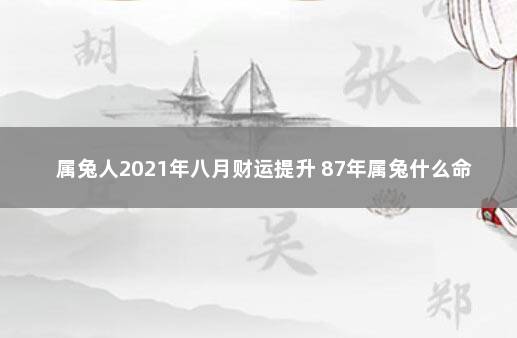 属兔人2021年八月财运提升 87年属兔什么命