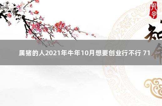 属猪的人2021年牛年10月想要创业行不行 71年属猪女2020年运程