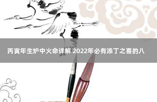 丙寅年生炉中火命详解 2022年必有添丁之喜的八字