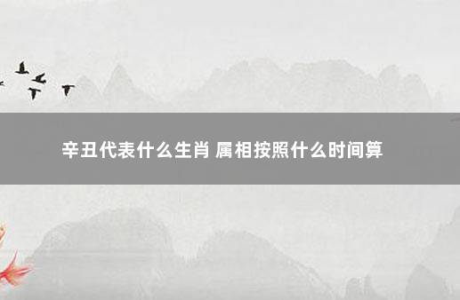 辛丑代表什么生肖 属相按照什么时间算