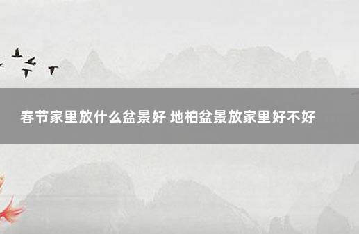 春节家里放什么盆景好 地柏盆景放家里好不好