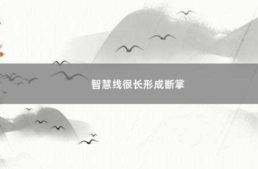 智慧线很长形成断掌