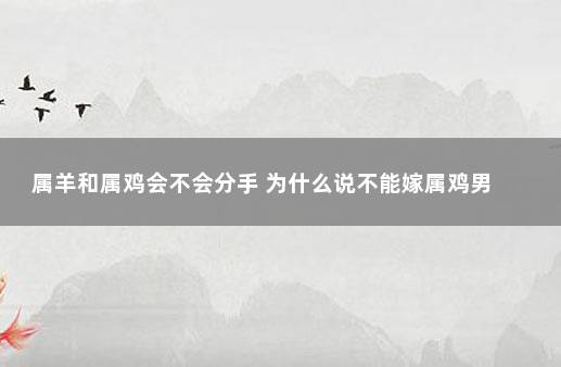 属羊和属鸡会不会分手 为什么说不能嫁属鸡男