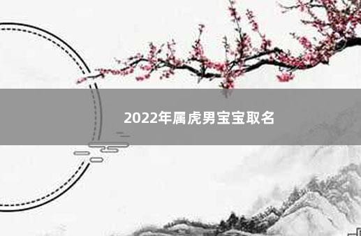 2022年属虎男宝宝取名