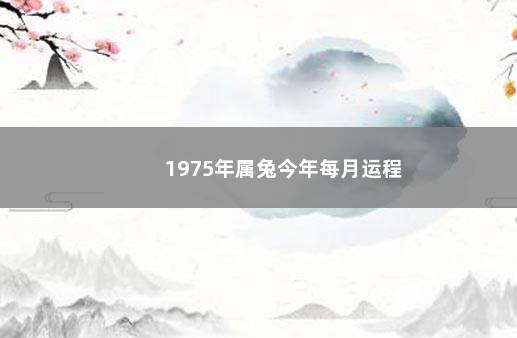 1975年属兔今年每月运程