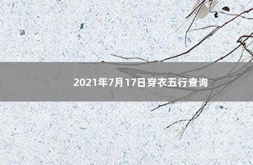 2021年7月17日穿衣五行查询