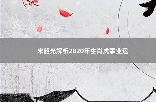 宋韶光解析2020年生肖虎事业运