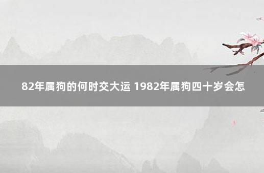 82年属狗的何时交大运 1982年属狗四十岁会怎样