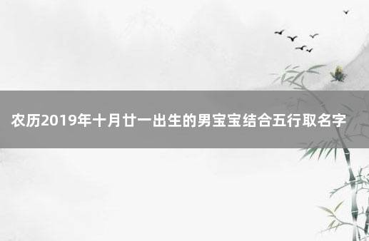 农历2019年十月廿一出生的男宝宝结合五行取名字 今年农历十一月出生的男孩取啥名字