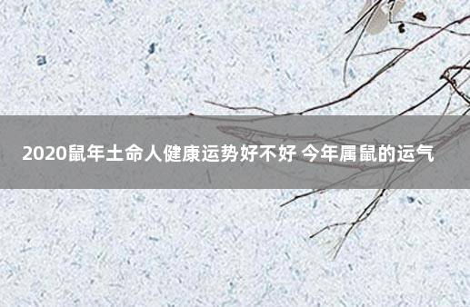 2020鼠年土命人健康运势好不好 今年属鼠的运气如何