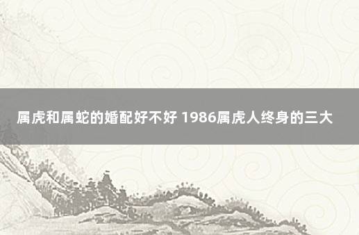 属虎和属蛇的婚配好不好 1986属虎人终身的三大坎