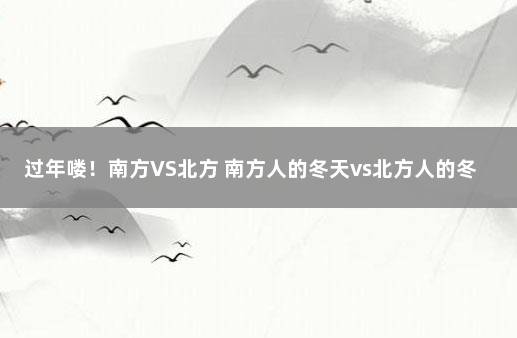 过年喽！南方VS北方 南方人的冬天vs北方人的冬天