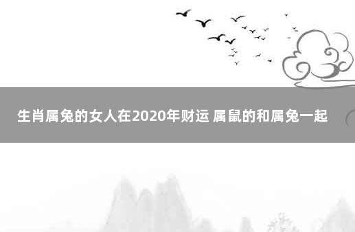 生肖属兔的女人在2020年财运 属鼠的和属兔一起财运好吗