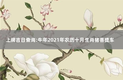 上牌吉日查询:牛年2021年农历十月生肖猪喜提车日子  2021年9月属猪的提车黄道吉日