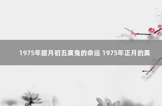 1975年腊月初五属兔的命运 1975年正月的属兔人命好吗