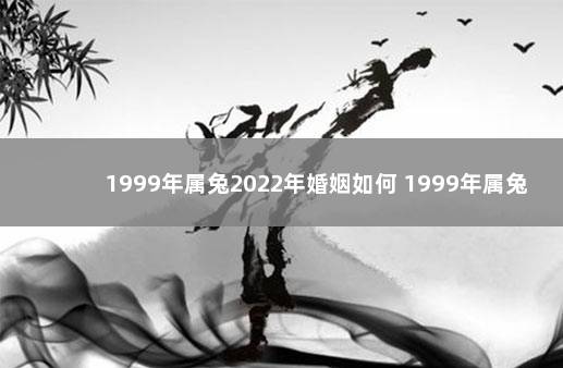 1999年属兔2022年婚姻如何 1999年属兔今年的姻缘怎样