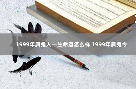 1999年属兔人一生命运怎么样 1999年属兔今年运程