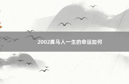 2002属马人一生的命运如何