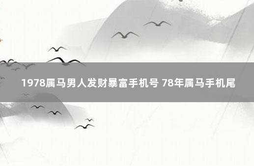 1978属马男人发财暴富手机号 78年属马手机尾数为几最好