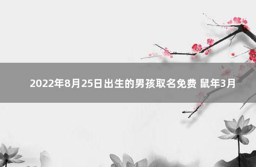 2022年8月25日出生的男孩取名免费 鼠年3月出生男孩名字首选