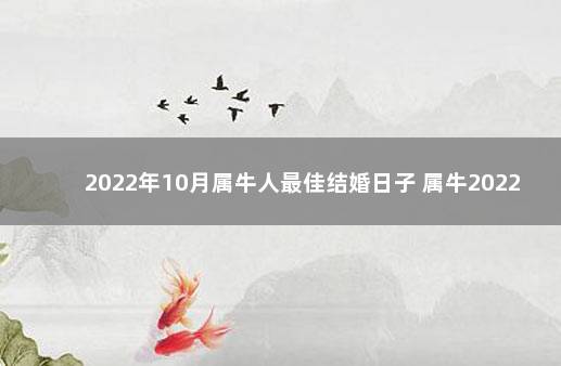 2022年10月属牛人最佳结婚日子 属牛2022年结婚的黄道吉日