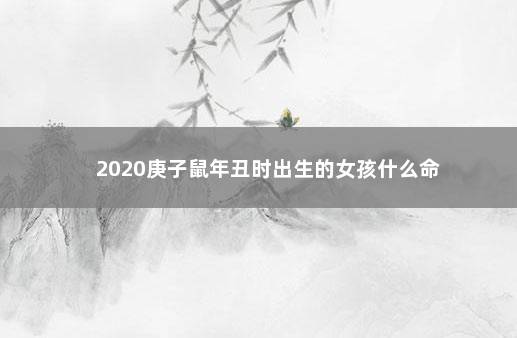 2020庚子鼠年丑时出生的女孩什么命