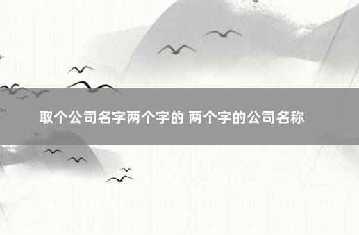 取个公司名字两个字的 两个字的公司名称