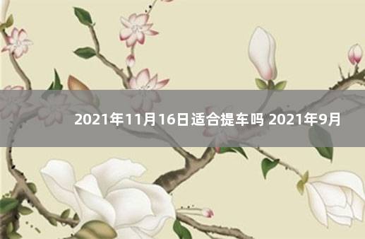 2021年11月16日适合提车吗 2021年9月16日提车好吗