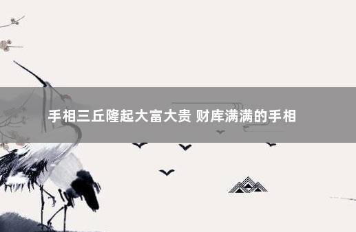 手相三丘隆起大富大贵 财库满满的手相