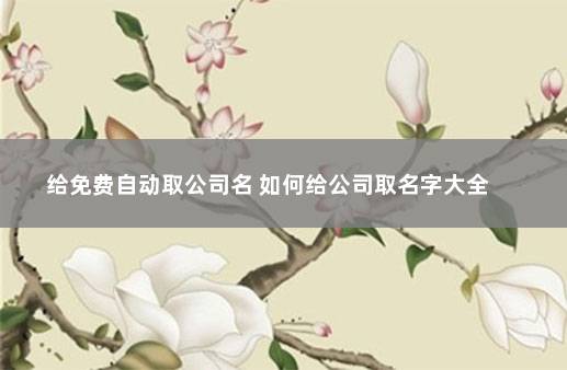 给免费自动取公司名 如何给公司取名字大全