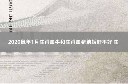 2020鼠年1月生肖属牛和生肖属猪结婚好不好 生肖鼠和生肖猪合不合