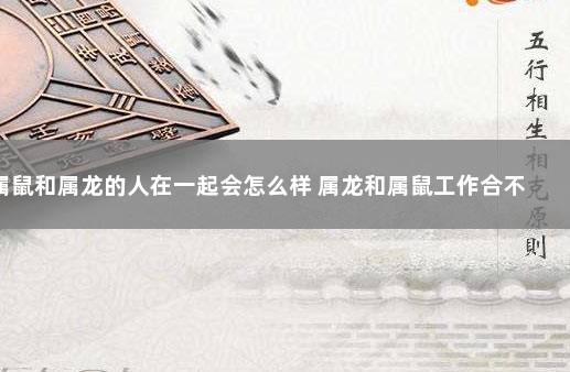 属鼠和属龙的人在一起会怎么样 属龙和属鼠工作合不合