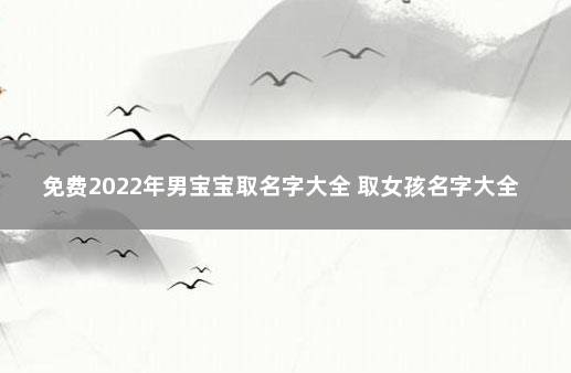 免费2022年男宝宝取名字大全 取女孩名字大全