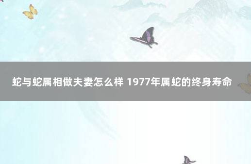 蛇与蛇属相做夫妻怎么样 1977年属蛇的终身寿命