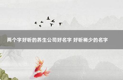 两个字好听的养生公司好名字 好听稀少的名字