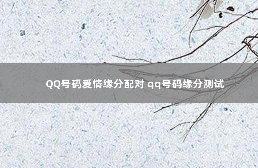 QQ号码爱情缘分配对 qq号码缘分测试