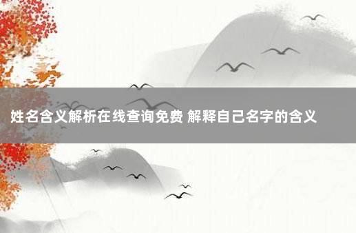 姓名含义解析在线查询免费 解释自己名字的含义