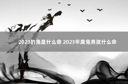 2023的兔是什么命 2023年属兔男孩什么命