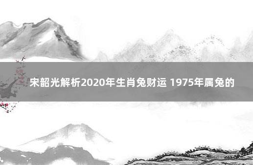 宋韶光解析2020年生肖兔财运 1975年属兔的人2020年运程