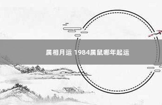 属相月运 1984属鼠哪年起运