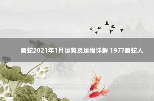 属蛇2021年1月运势及运程详解 1977属蛇人2021运气