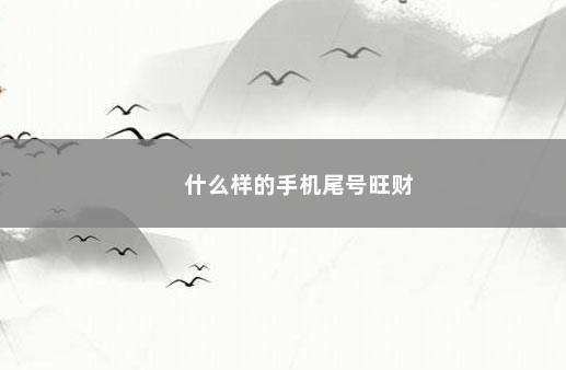 什么样的手机尾号旺财