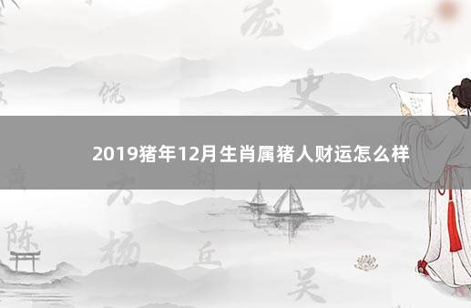 2019猪年12月生肖属猪人财运怎么样