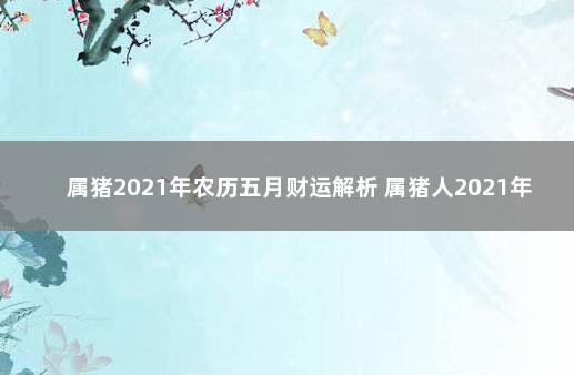 属猪2021年农历五月财运解析 属猪人2021年农历每月运程