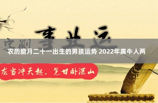 农历腊月二十一出生的男孩运势 2022年属牛人两喜缠身