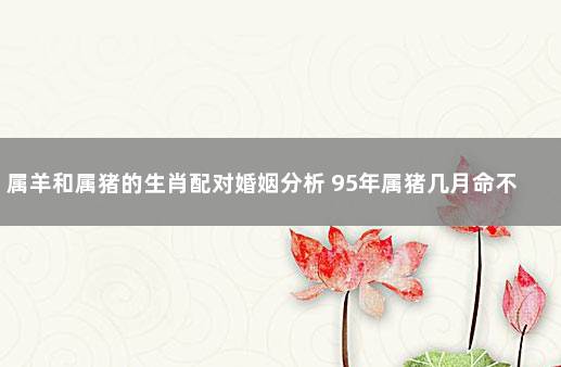 属羊和属猪的生肖配对婚姻分析 95年属猪几月命不好