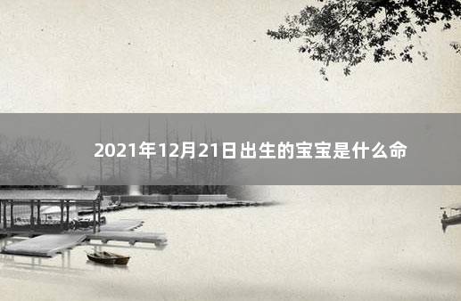 2021年12月21日出生的宝宝是什么命