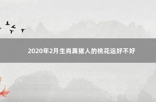 2020年2月生肖属猪人的桃花运好不好