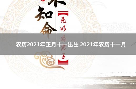 农历2021年正月十一出生 2021年农历十一月出生的男宝宝