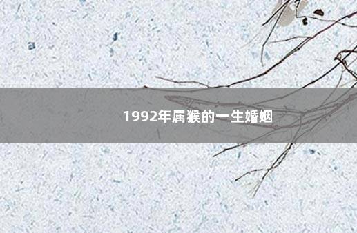 1992年属猴的一生婚姻